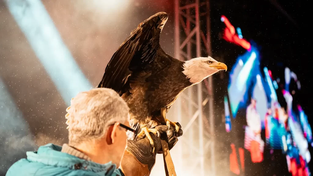 Aigle critérium de la première neige